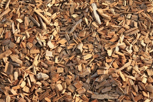 The Disadvantages of Biomass Energy for Societal Uses